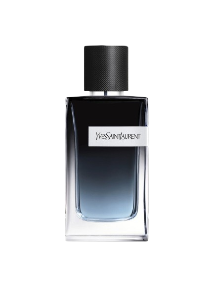 Y by Yves Saint Laurent Perfume